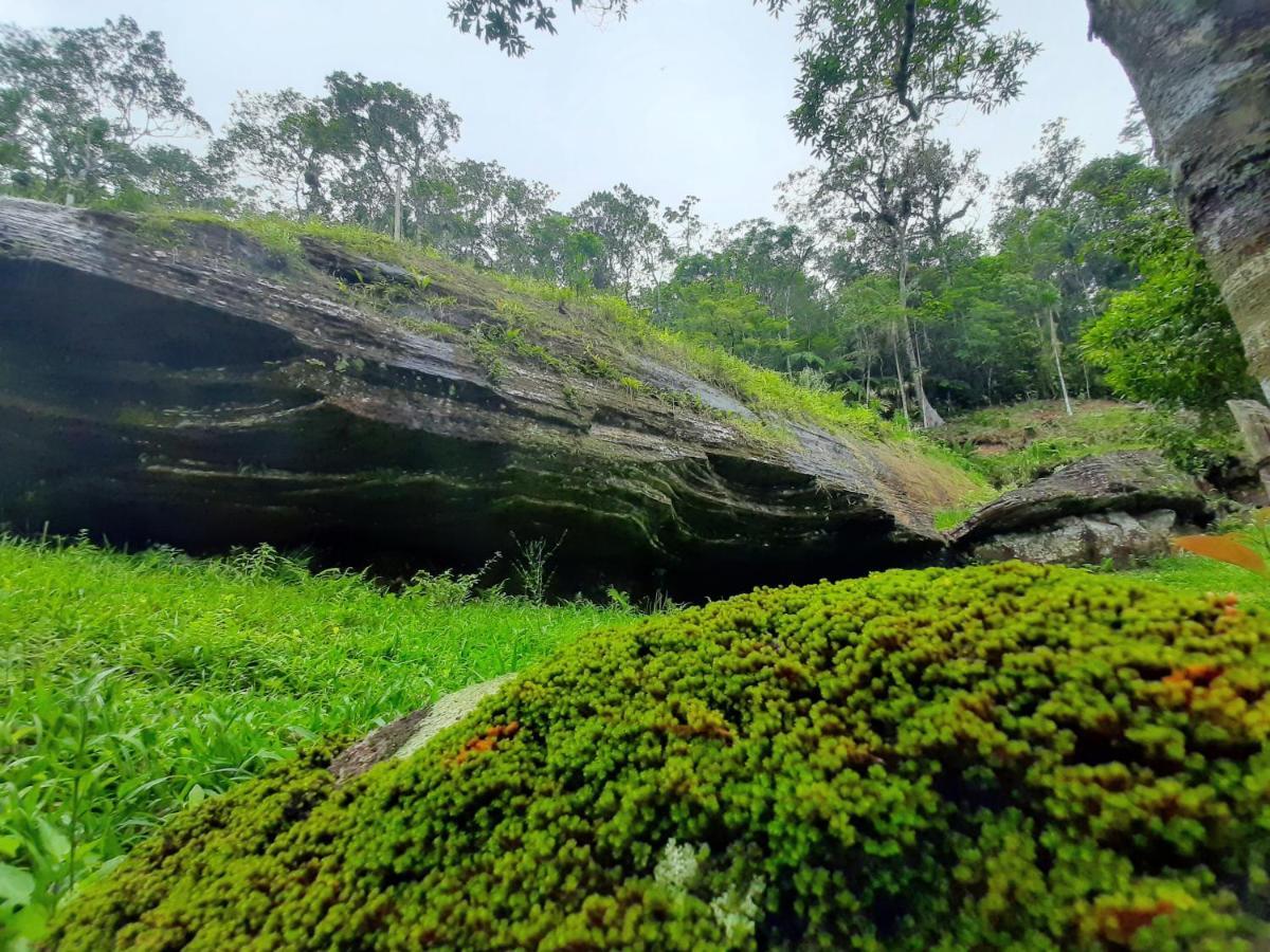 Morada da pedra Villa Praia Grande  Bagian luar foto