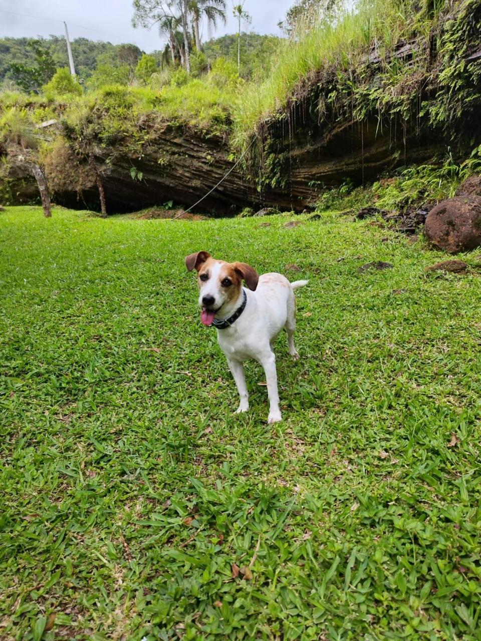 Morada da pedra Villa Praia Grande  Bagian luar foto